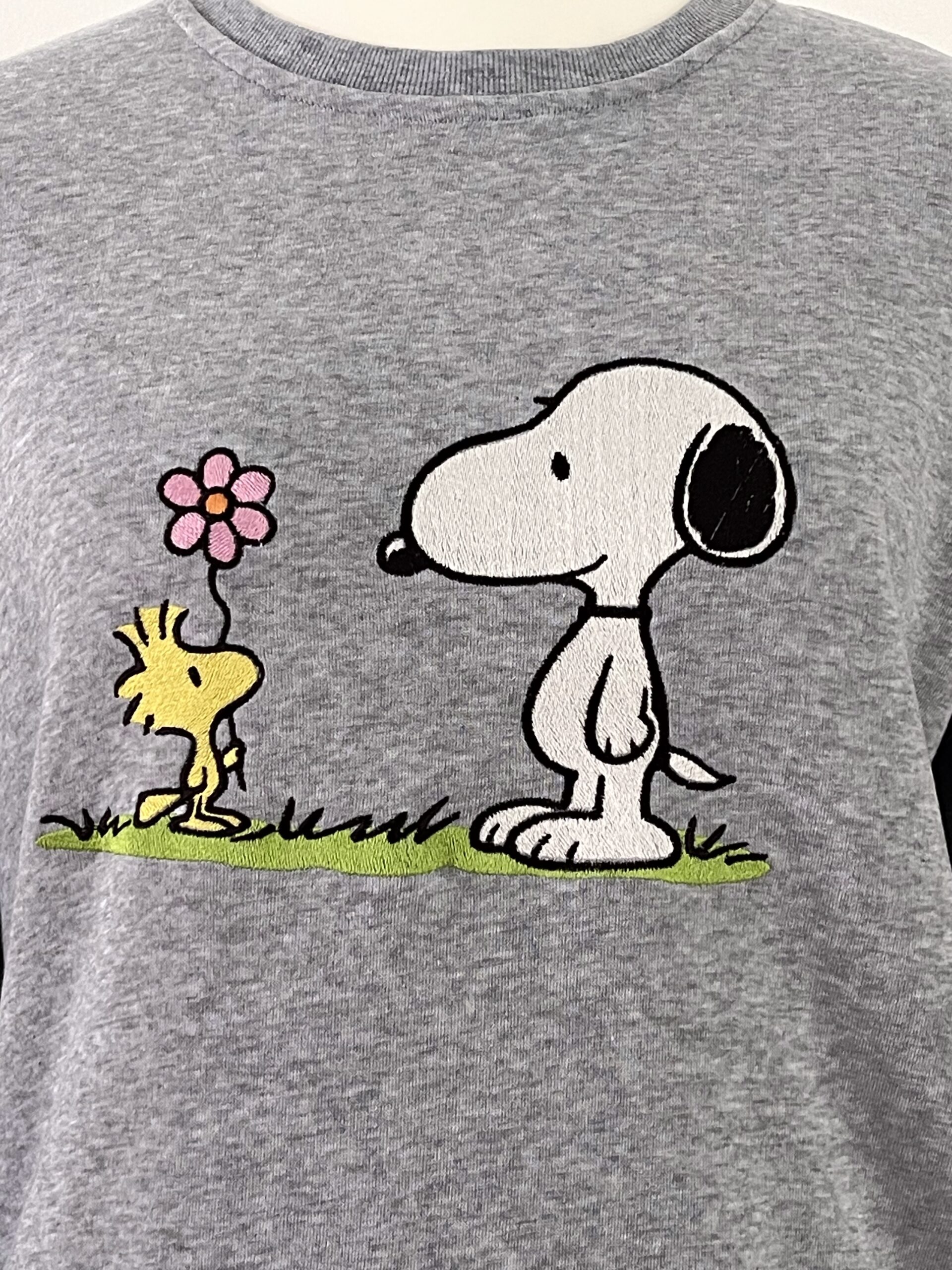 Snoopy & Woodstock